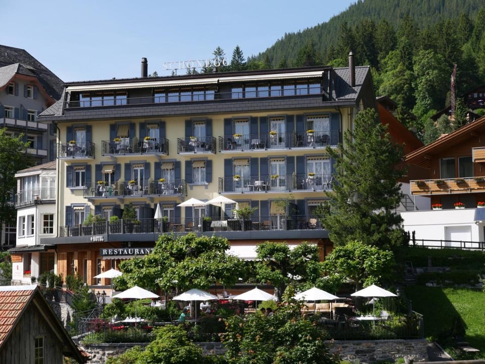 Hotel Schönegg, how it began