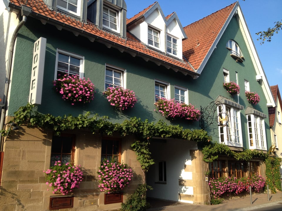 Gasthaus-Hotel Adler, how it began