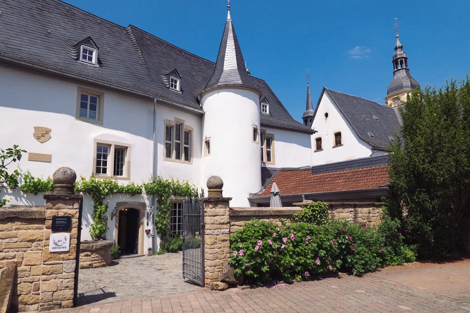Meisenheimer Hof, how it began