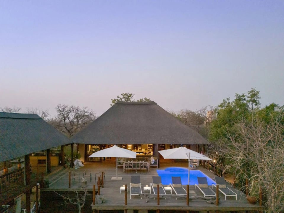 Sausage Tree Safari Camp, how it began