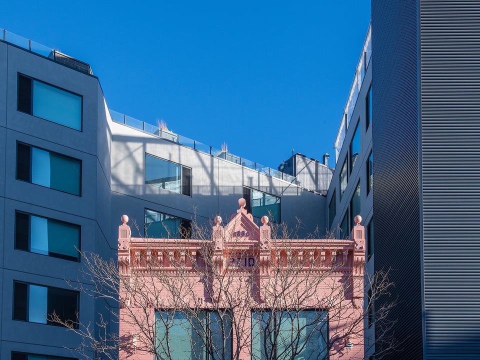 Catbird Hotel, how it began