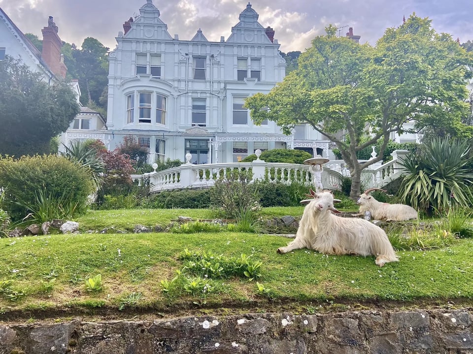 Escape Boutique B&B, how it began