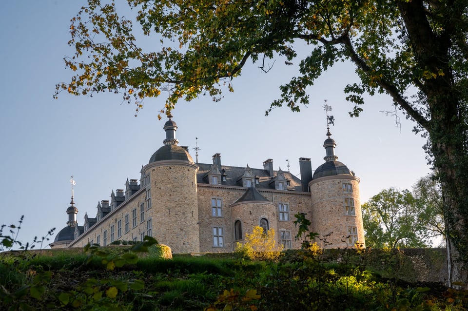 Château de Mirwart, how it began