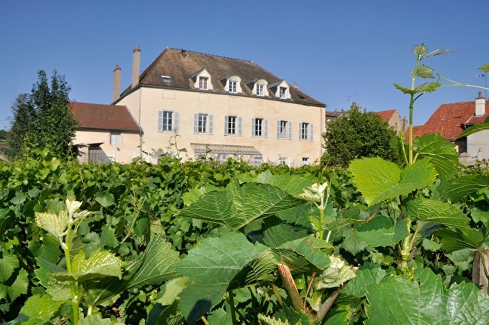 Le Clos du Colombier, how it began