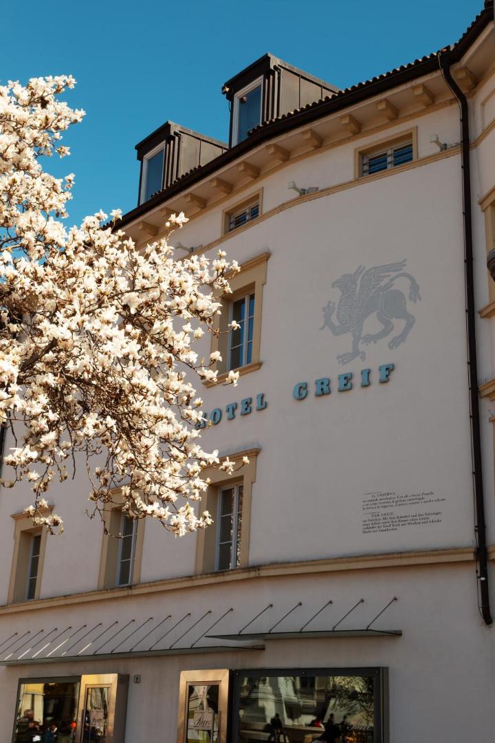 Hotel Greif, how it began