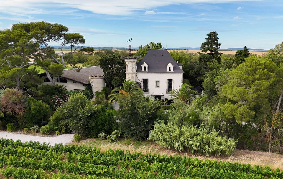 Domaine Tarbouriech, how it began