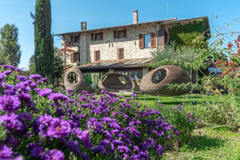 Tenuta San Masseo, how it began