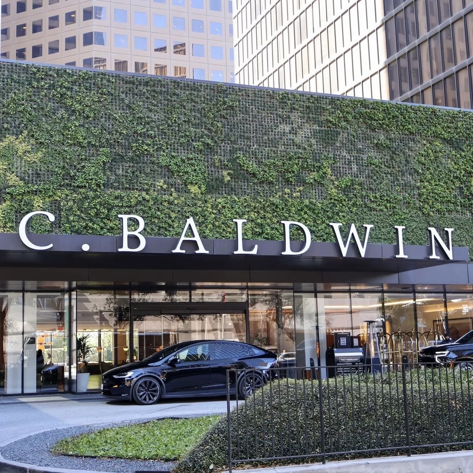 C. Baldwin, Curio Collection by Hilton, how it began
