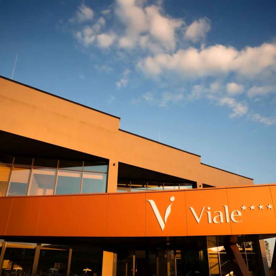 Viale Boutique Hotel Villány, how it began