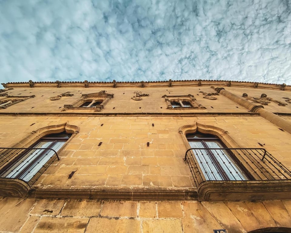 Cetina Palacio de Los Salcedo, how it began