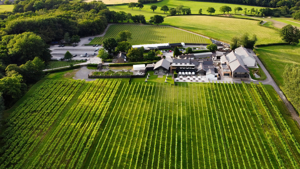Llanerch Vineyard Hotel, how it began