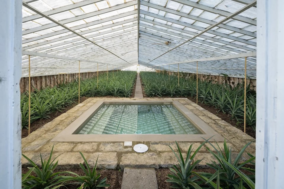 Senhora da Rosa, Tradition & Nature Hotel
