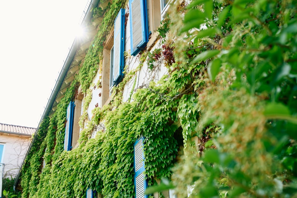 Hofgut Wißberg - Das Weinberghotel, how it began