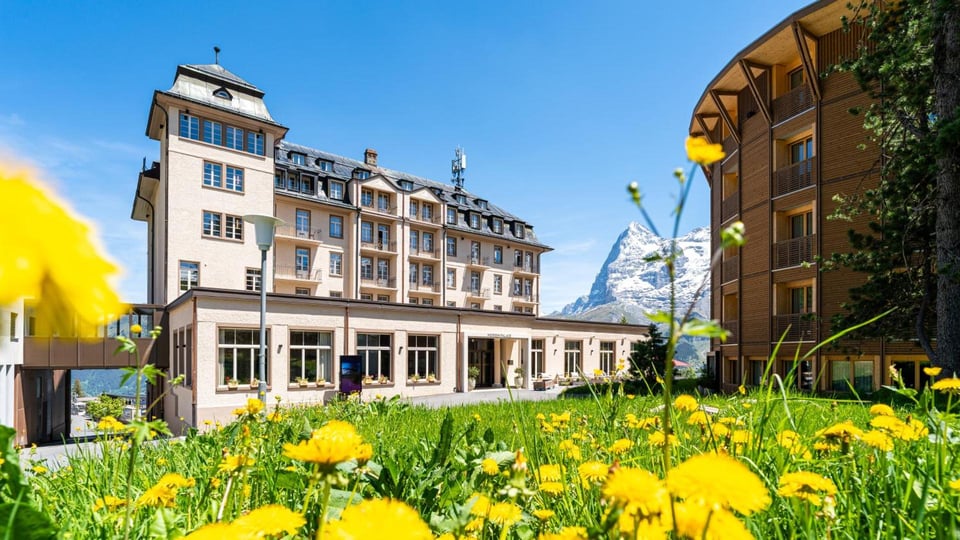Mürren Palace, how it began