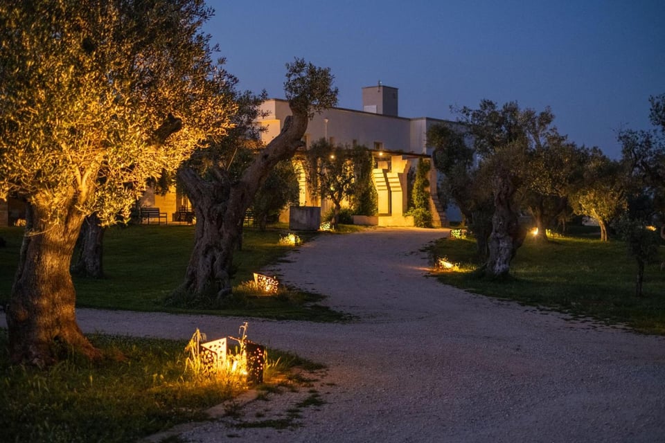 Secolario - Masseria del Viverbene, how it began