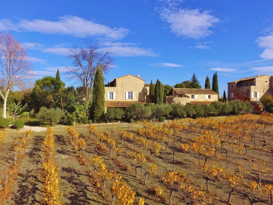 Domaine de Privadière, how it began