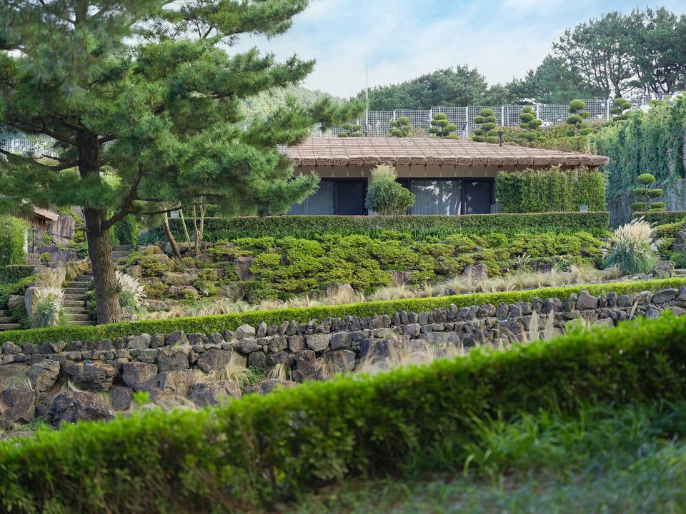 Amber Pure Hill Hotel & Resort Jeju, how it began
