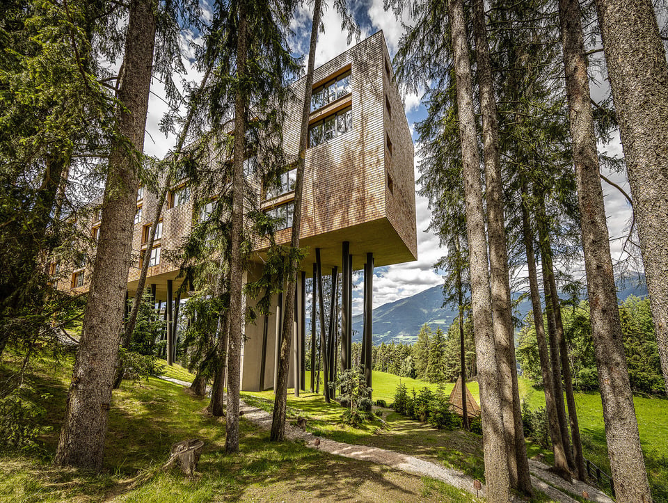 My Arbor - Dolomites