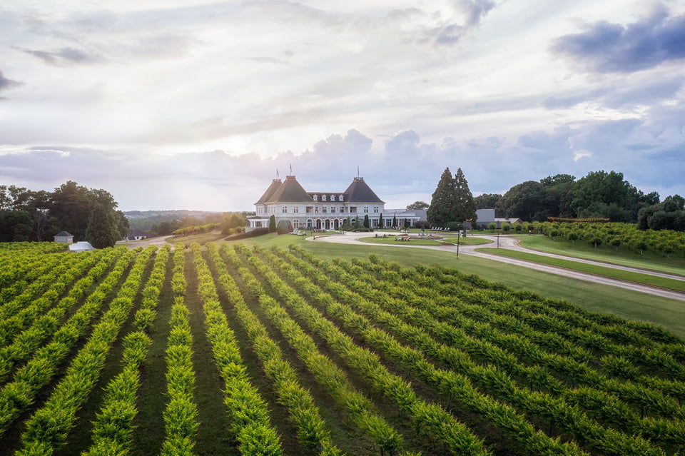 Chateau Elan Winery & Resort, how it began