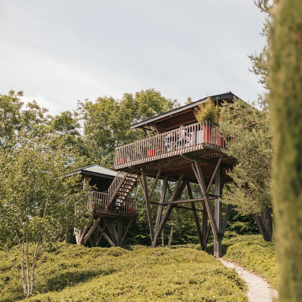 Hôtel avec Spa Privatif en Bourgogne • Le Domaine des Prés Verts, how it began