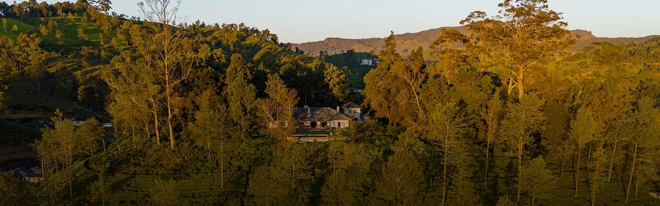 Goatfell by Teardrop Hotels, how it began