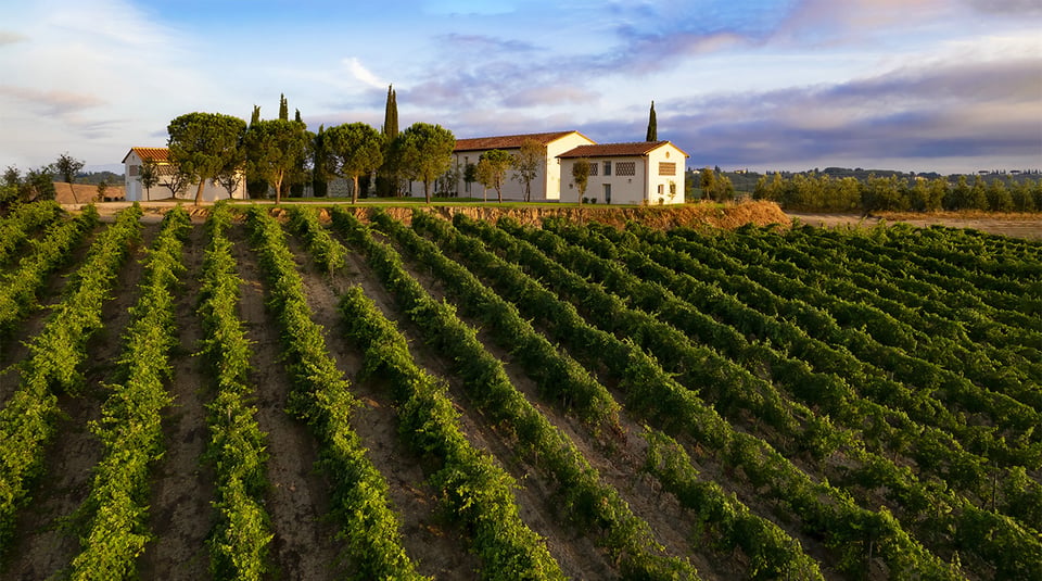 Colle Alberti Country House, how it began