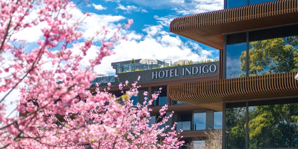 Hotel Indigo Alishan, how it began
