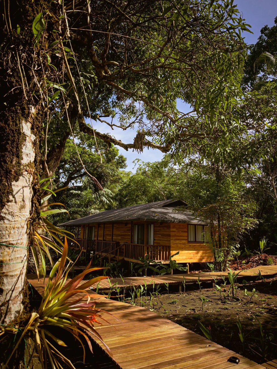 Black Sands Lodge, how it began