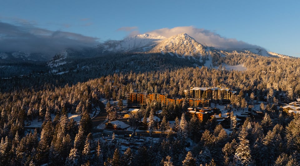 Limelight Mammoth, how it began