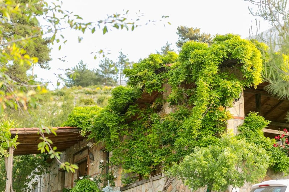 Olympos Mountain Lodge (12+), how it began