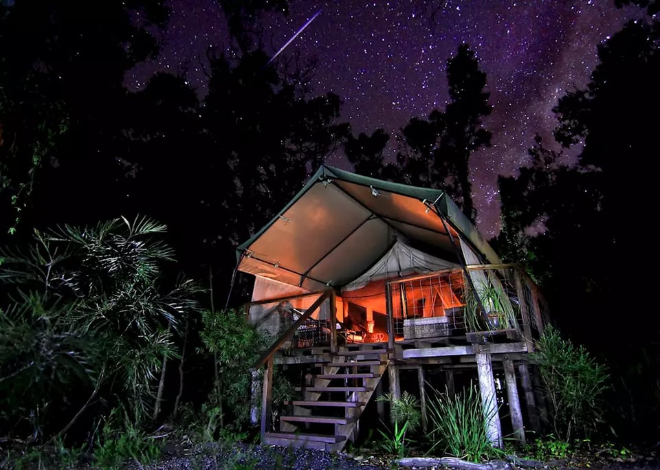 Paperbark Camp, how it began