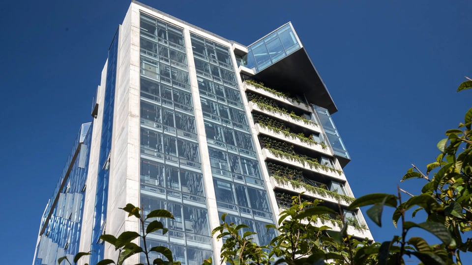 GO Quito Hotel, how it began