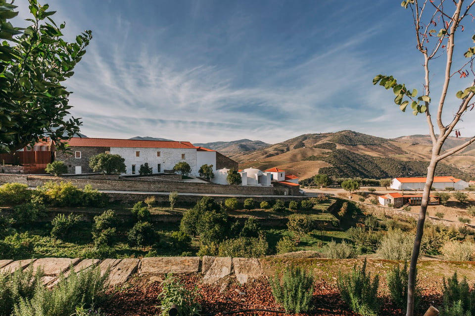 Ventozelo Hotel & Quinta, how it began