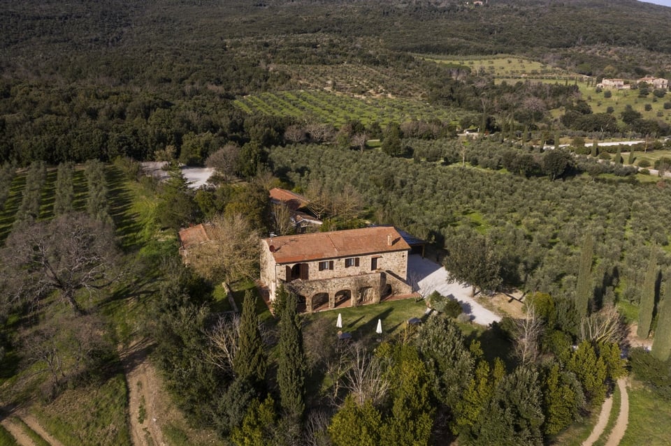 Tenuta Il Cicalino, how it began