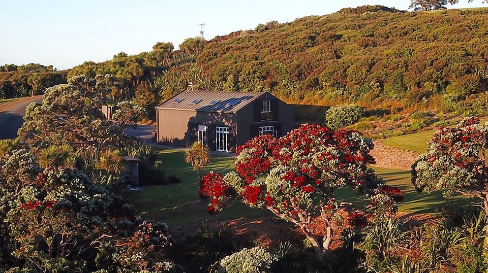 Kauri Mountain Point Estate, how it began