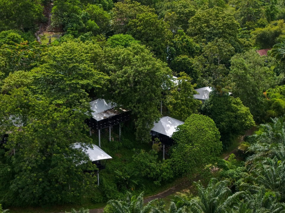 Kachong Hills Tented Resort Trang, how it began