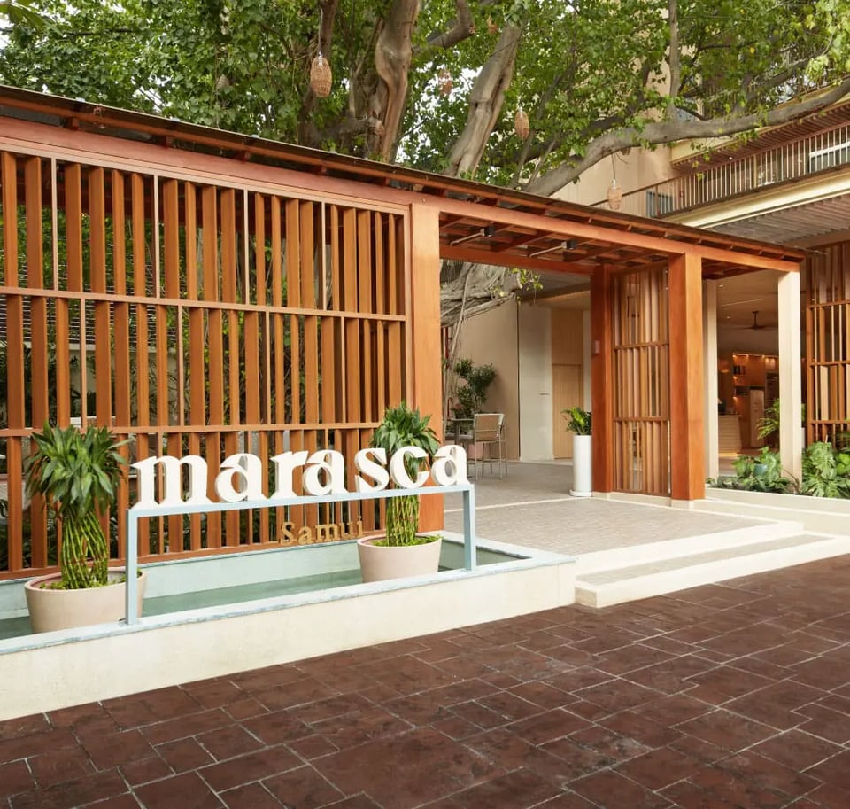 Marasca Samui, how it began