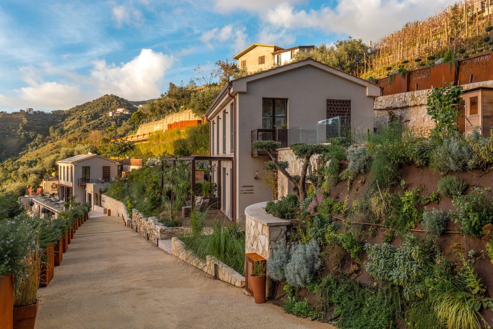Tenuta Zamparina, how it began