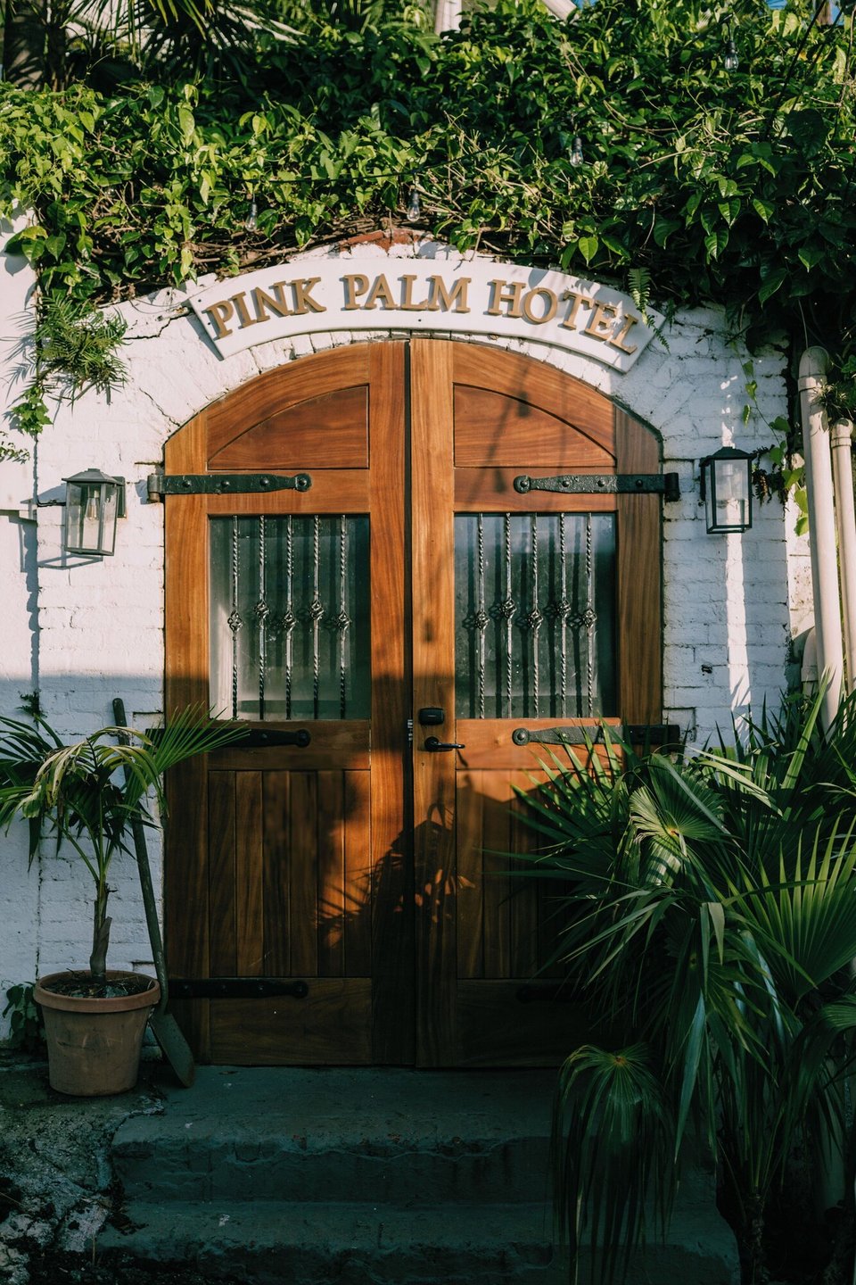 The Pink Palm Hotel, how it began