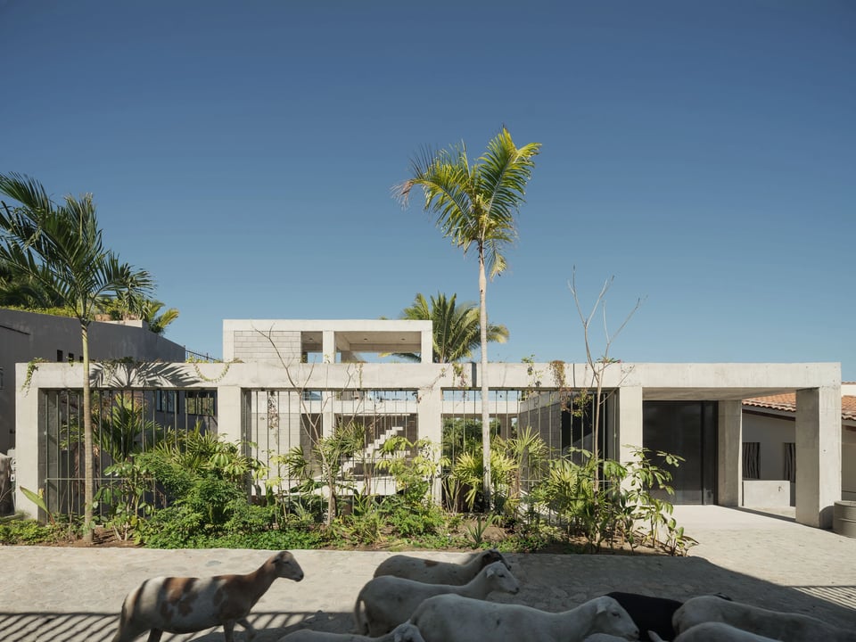 Nico Sayulita, how it began