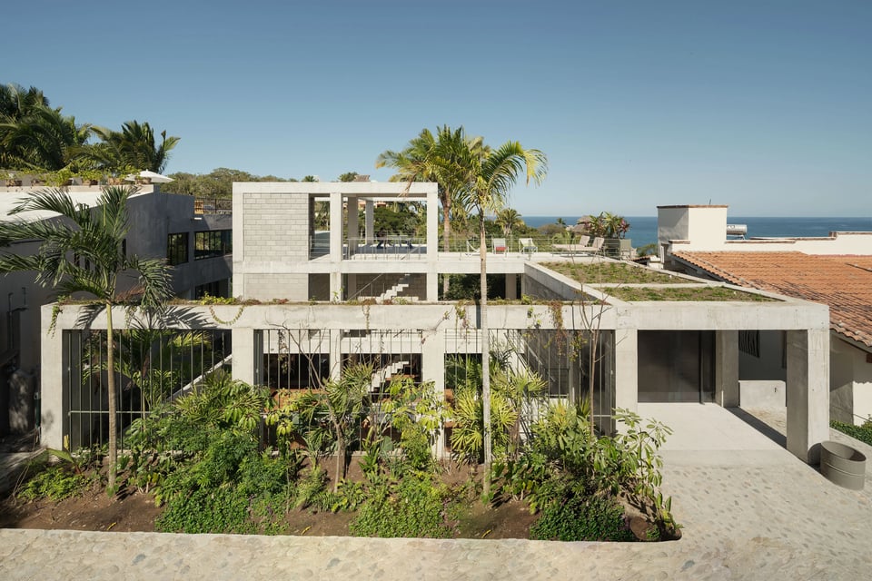 Nico Sayulita, how it began