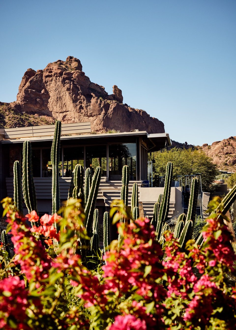 Sanctuary Camelback Mountain Resort & Spa, how it began