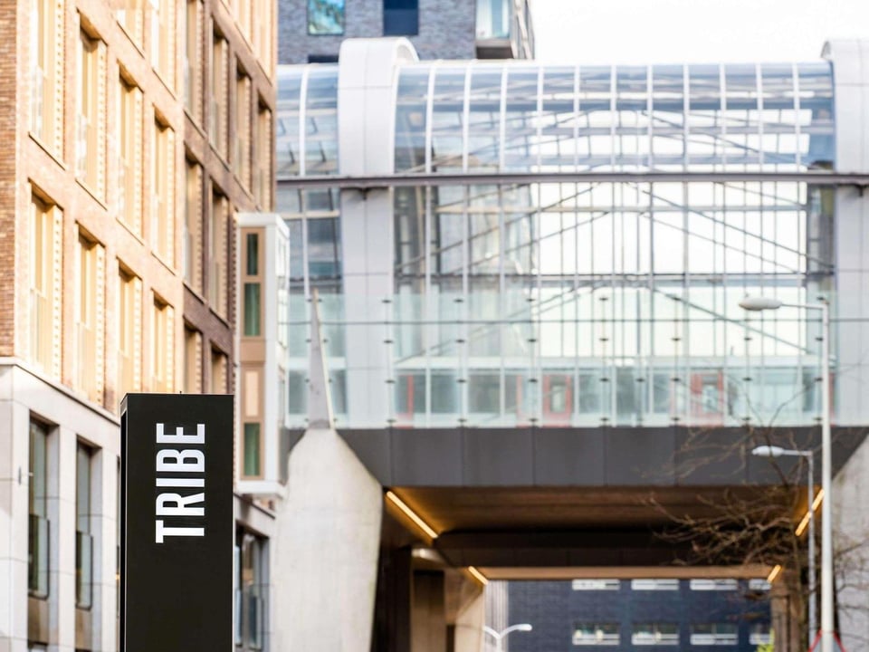 Tribe Amsterdam City, how it began