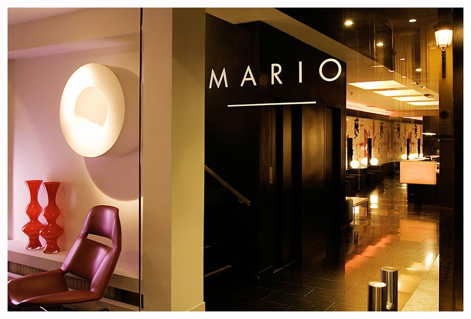 Room Mate Mario