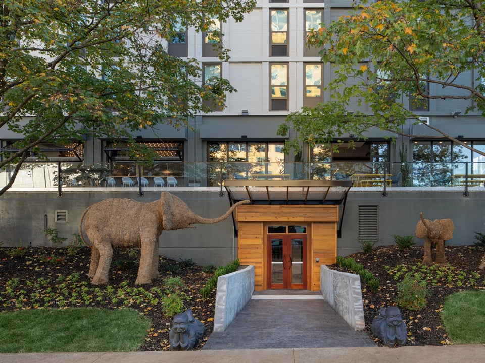 Hotel Indigo Chattanooga - Downtown by IHG, how it began