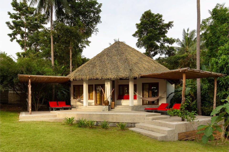 The Jungle Club, how it began