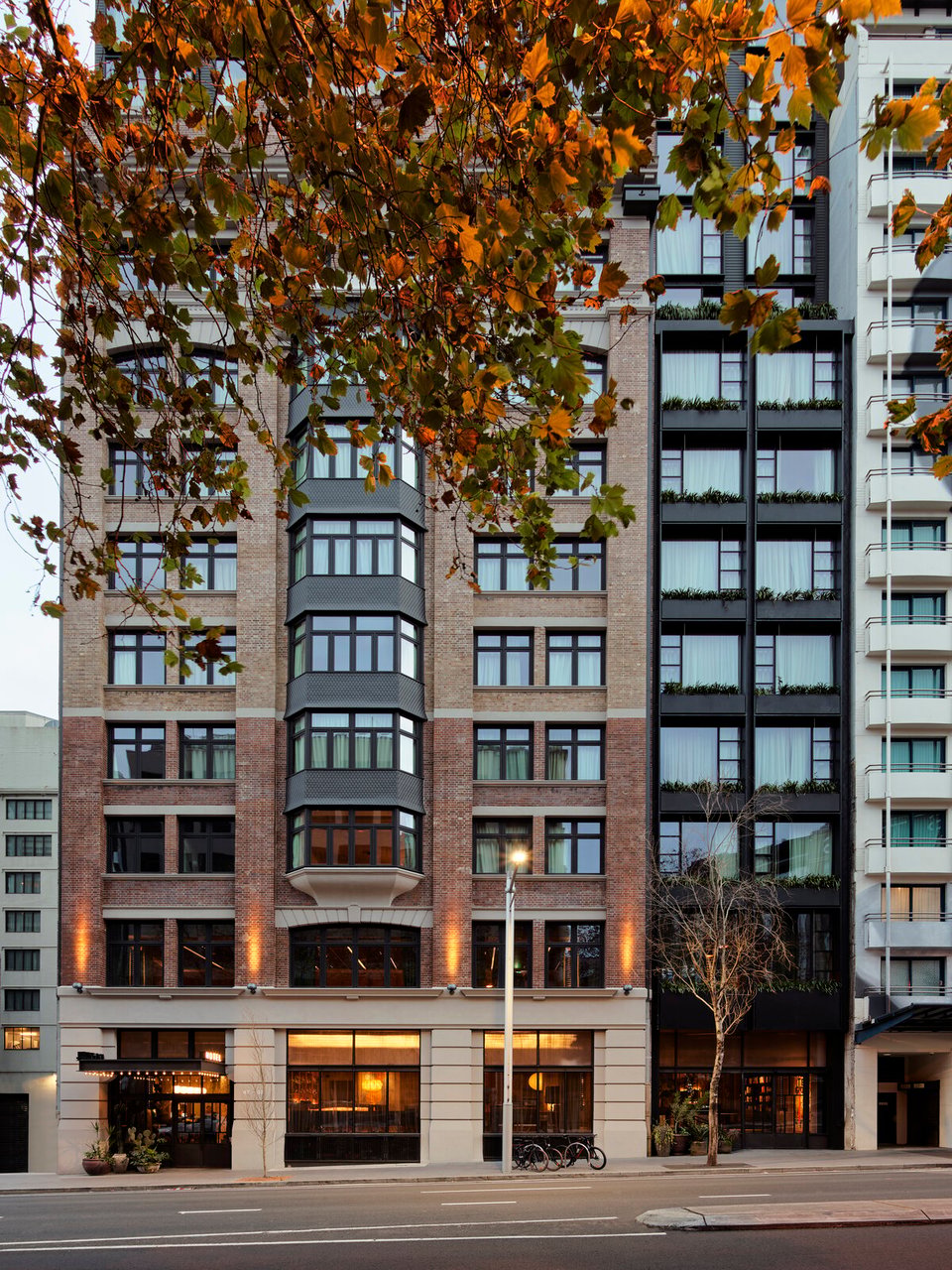 Ace Hotel Sydney, how it began