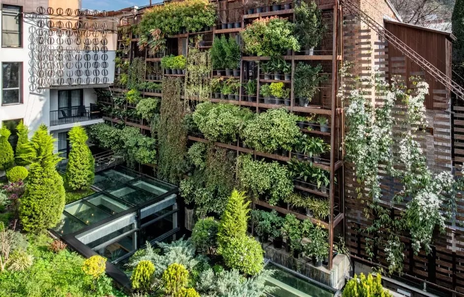 IOTA Hotel Tbilisi, how it began