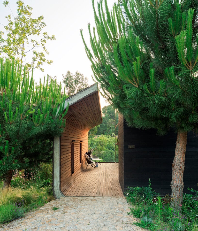 Lavandeira Douro Nature & Wellness, how it began