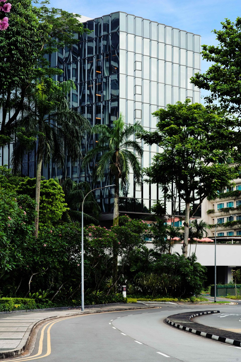 The Standard, Singapore, how it began